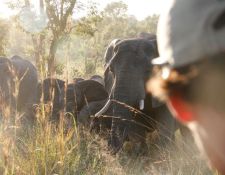 Reitsafari Hwange 