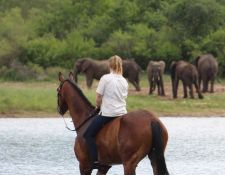 Reitsafari Hwange 