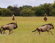 Reitsafari Hwange 