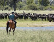 Reitsafari Hwange 