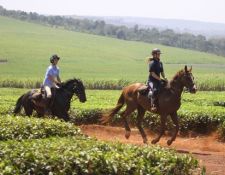 Uganda Wanderritt am Nil 