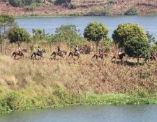 Uganda Wanderritt am Nil 