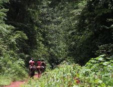 Uganda Wanderritt am Nil 